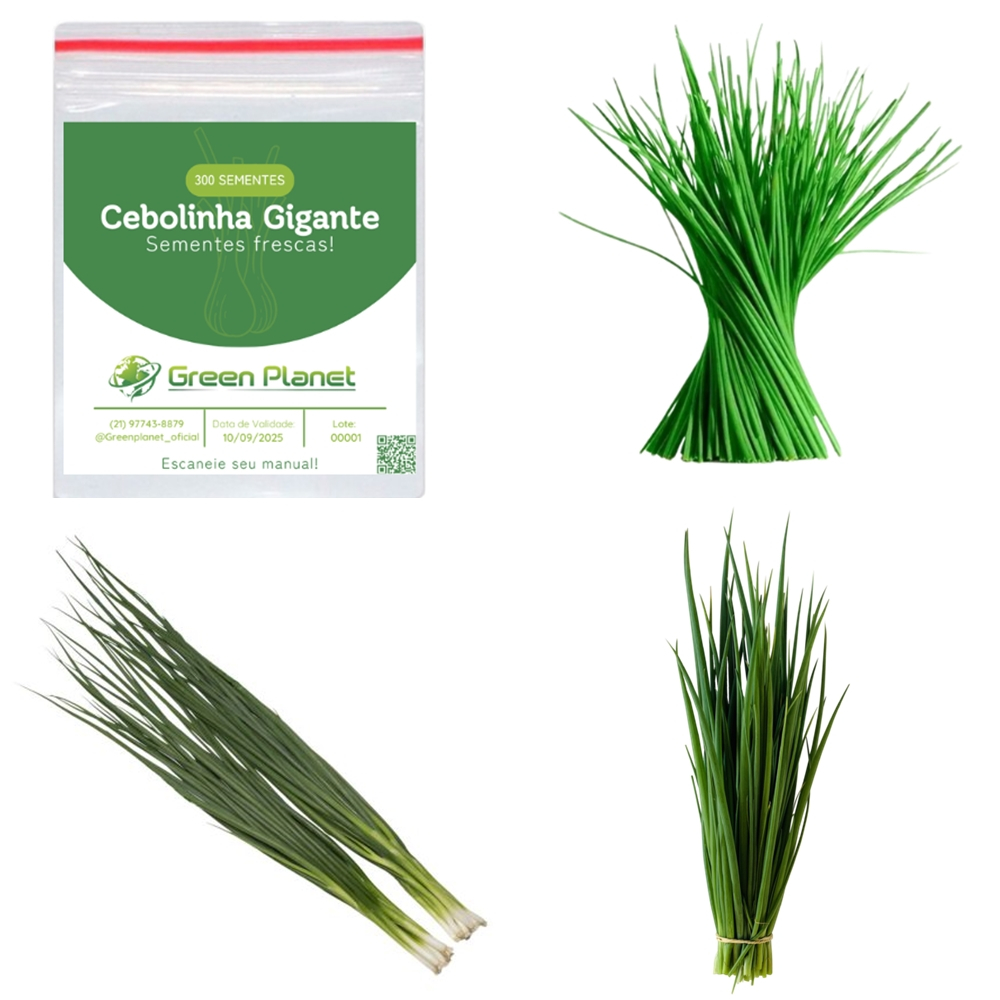 300 Sementes de Cebolinha Gigante - Faça sua Horta!