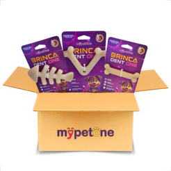 Kit 3 Unidades Brinca Dent One Brinquedo Osso Bamboo Sabor Bacon - MyPetOne