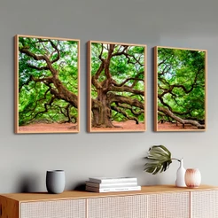 Trio Quadros Decorativos Moderno Árvore da Vida Para Sala Hall Escritório