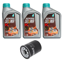 Kit Troca Óleo Selenia 15w40 Palio 1.4 8v Flex 2005/2009
