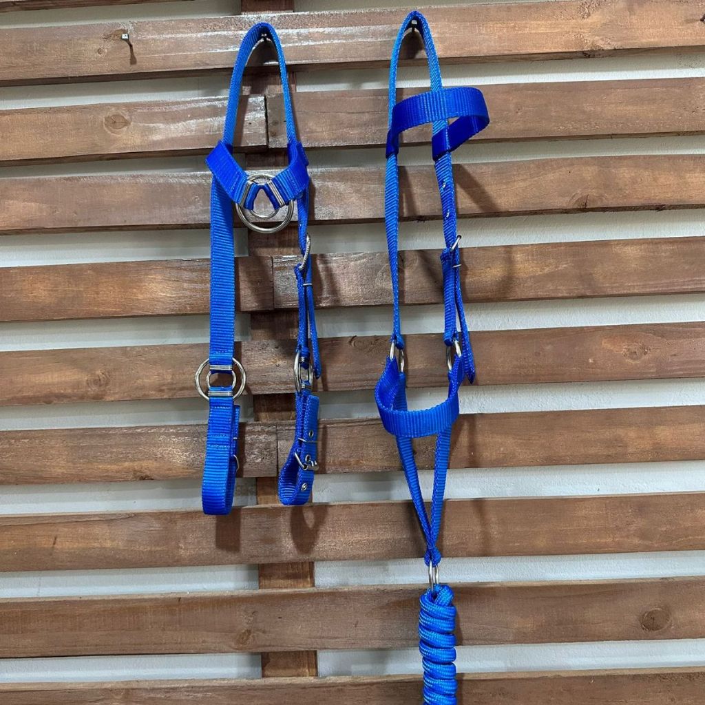 Kit Cabresto e Cabeçada Argola Para Cavalo- Bordado Personalizado