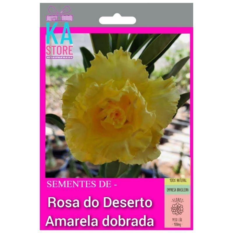 sementes de (Rosa do Deserto Amarela dobrada) 5 sementes