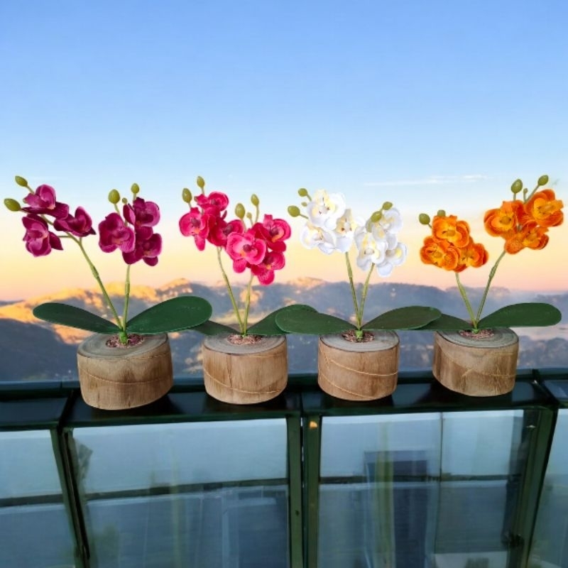 Kit 11 vasinhos com mini orquídeas arranjo orquidea vasinho rústico lembrança casamento enfeite mesa