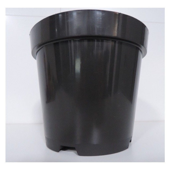kit 15 pote vaso 16