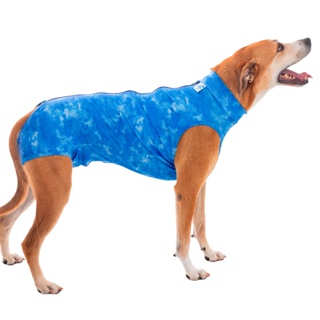 Roupa Protetora Pós Cirúrgica Para Cãe Machos e Fêmeas em Oferta na Shopee