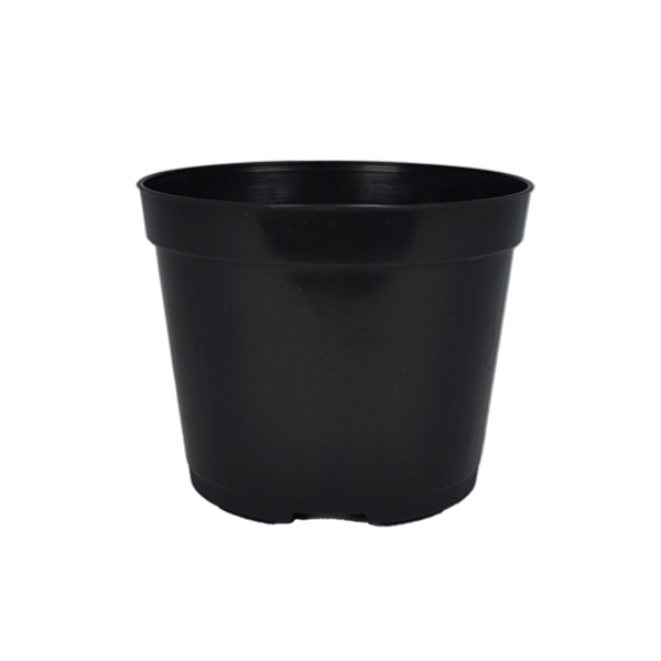 65 Vasos Pote 9 Plantas  240ml Plastico preto Mudas  Mini Cactos E Suculentas