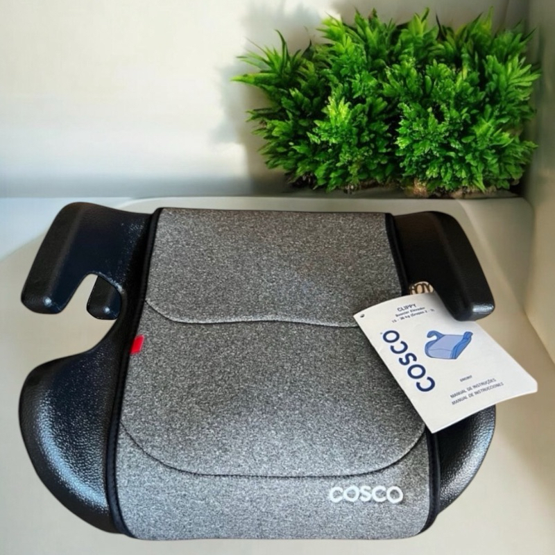 Assento de Carro Cosco: Onde Comprar | BuscaProdutos