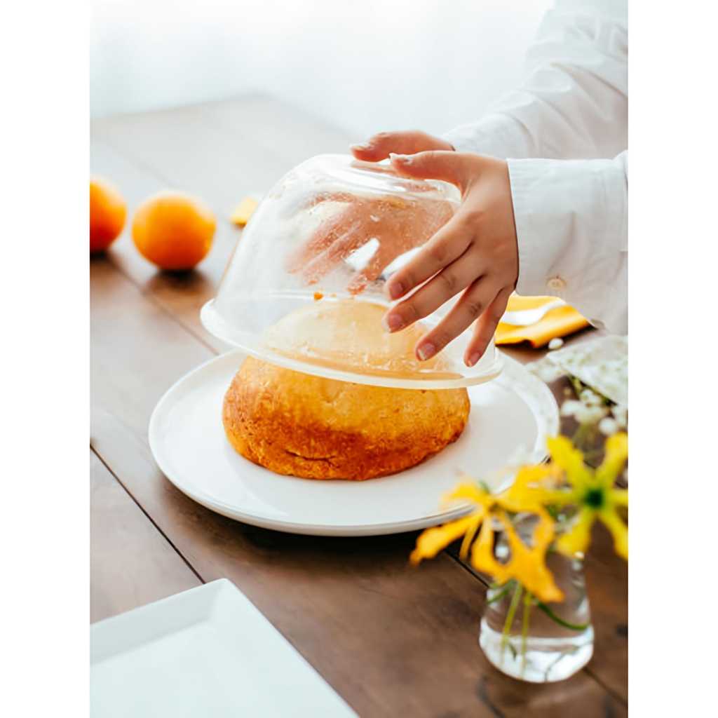 Forma Refratária Multiuso com Tampa