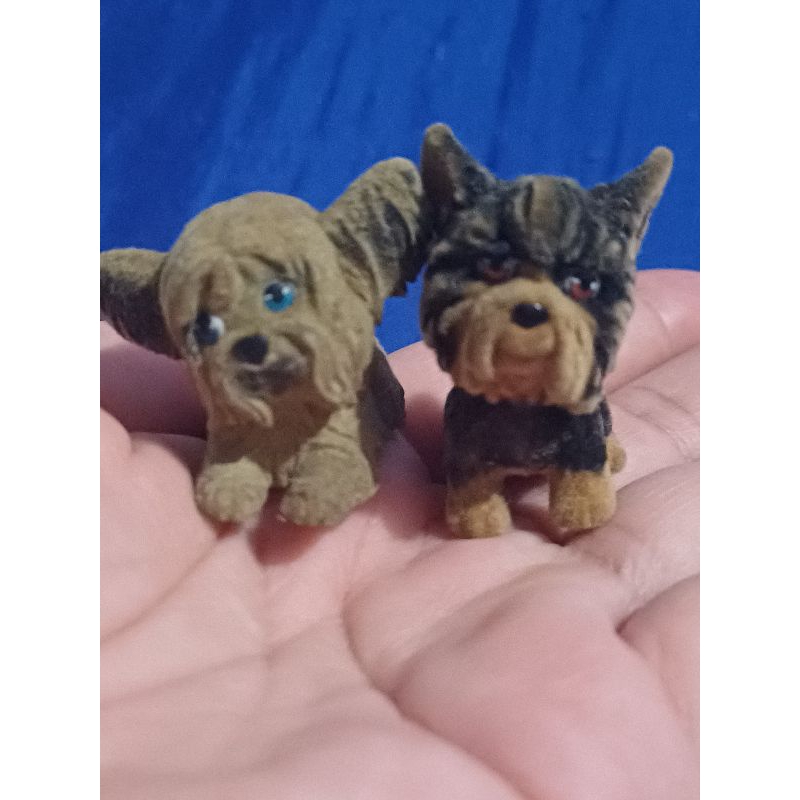 Mini Lhasa apso e Yorkshire Terrier em resina.