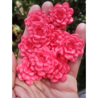 10 Apliques Biscuit Flores K 404 Arte Porcelana Fria