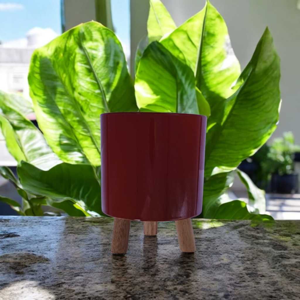 Vaso Cachepot Plastico Terracota Pé De Madeira 15,5 X 14,0 cm (Sem Pés)  15,5 x 19,0 (Com Pés)