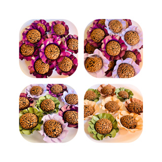 25 Forminhas modelo BELA  varias cores ideais para festas e casamentos Jufiori em Oferta na Shopee