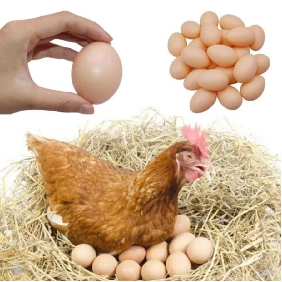 Kit 12 Ovos Falsos De Plástico Para Indez Galinha Caipira em Oferta na Shopee