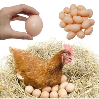Kit 12 Ovos Falsos De Plástico Para Indez Galinha Caipira