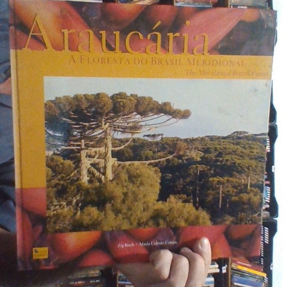 livro araucária, a floresta do Brasil meridional, Zig Koch e Maria Celeste Corrêa, ed olhar Brasileiro