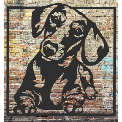 Fotos de Cachorro Salsicha: Onde Comprar | BuscaProdutos