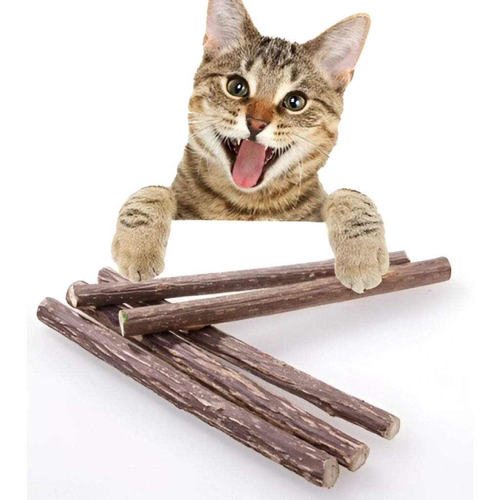 Matatabi Graveto De Catnip Vara Brinquedo Pet Para Gatos Anti Stress  Diversão Garantida