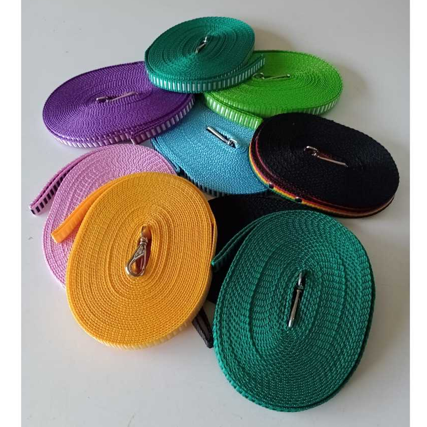 Guia de Adestramento Canino: Onde Comprar | BuscaProdutos