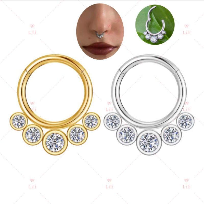 1 Piercing Argola Aço cirúrgico Delicado Zircônia Segmento Articulado | Septo, Rook, Daith, Conch em Oferta na Shopee