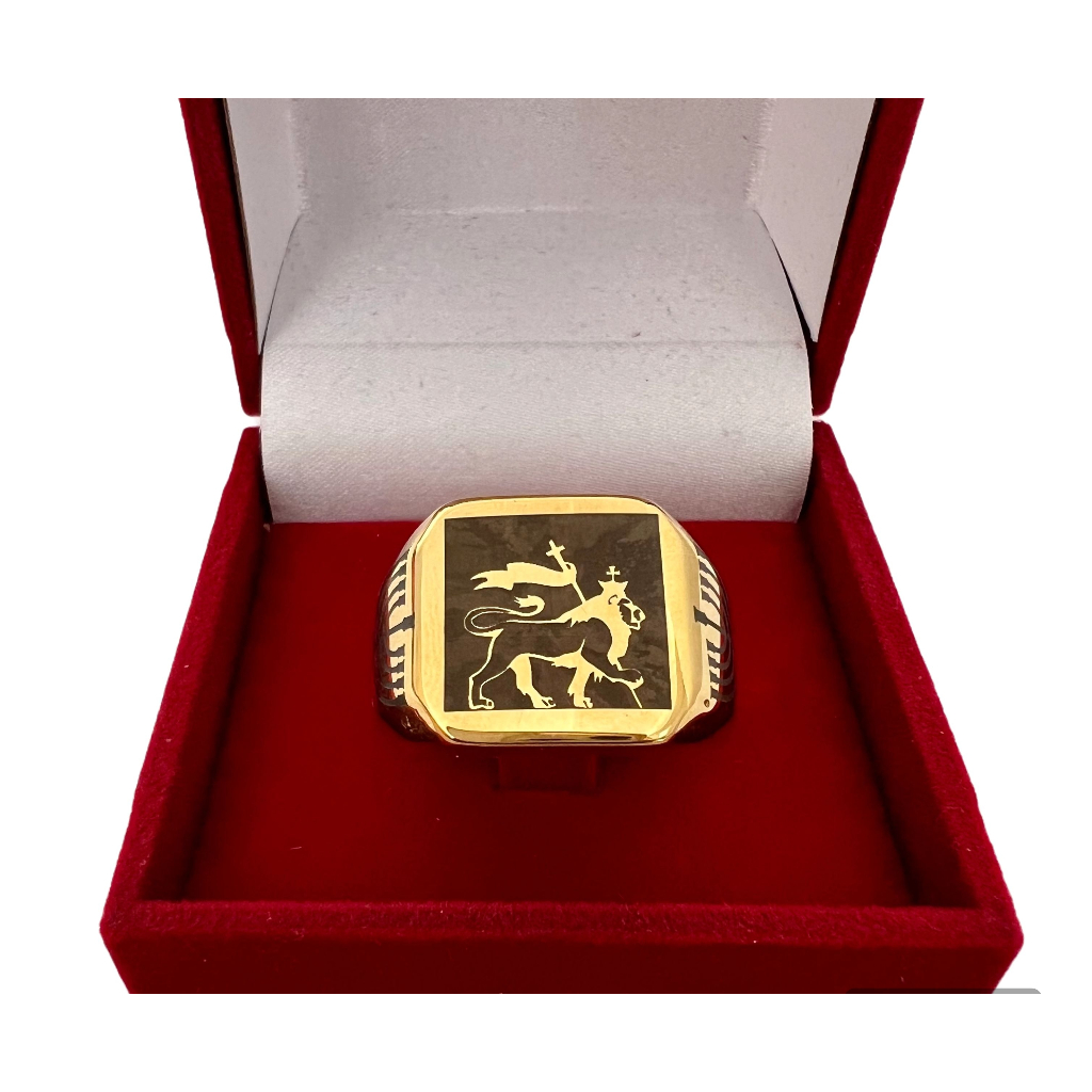 Anel Masculino Leão de Juda doze tribos de israel  banhado a ouro 18k teologia comendador Luxo teólogo