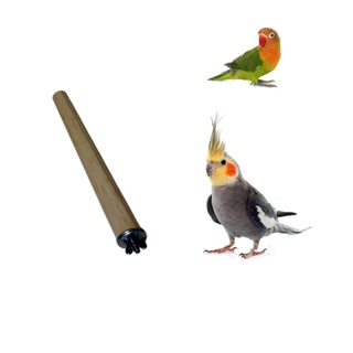 Poleiro Simples de Pinus com Fixador para Agapornis Calopsita canário Periquito Ring Neck Roselas em Oferta na Shopee