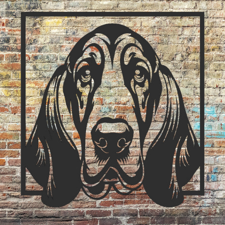 Cachorro Basset Hound: Onde Comprar | BuscaProdutos