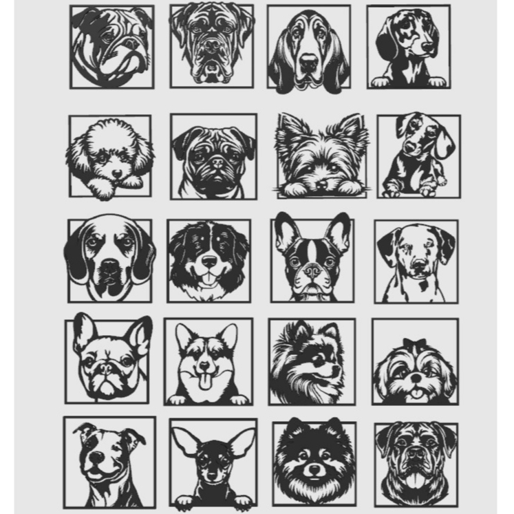 Fotos de Racas de Cachorro: Onde Comprar | BuscaProdutos