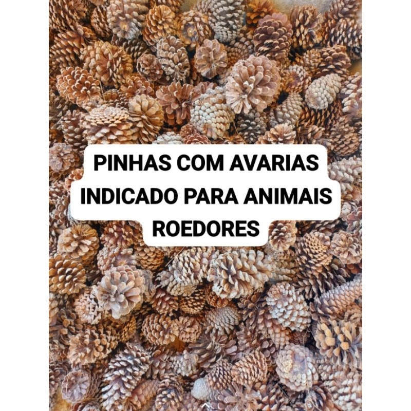 25 Pinhas Naturais com pequenas AVARIAS, Ideal para Pet, roedores em Oferta na Shopee
