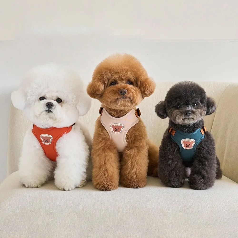 Cachorro com Ursinho - Comprar com Melhor Preço em Acessórios para Animais de Estimação