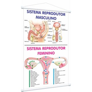 Banner sistema reprodutor pedagógico didático educativo em Oferta na Shopee