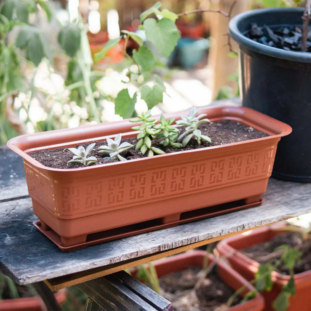 Kit 2 Floreira Jardim Plantas Suculentas 6 Litros Jardineira Plástica em Oferta na Shopee