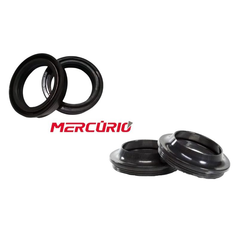 Kit Guarda Pó + Retentor da Bengala CB 250 Twister CB 300R XR 200