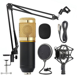 Kit Microfone Profissional Completo Bm800 Dourado com Pop Filter Aranha Braço Articulado em Oferta na Shopee