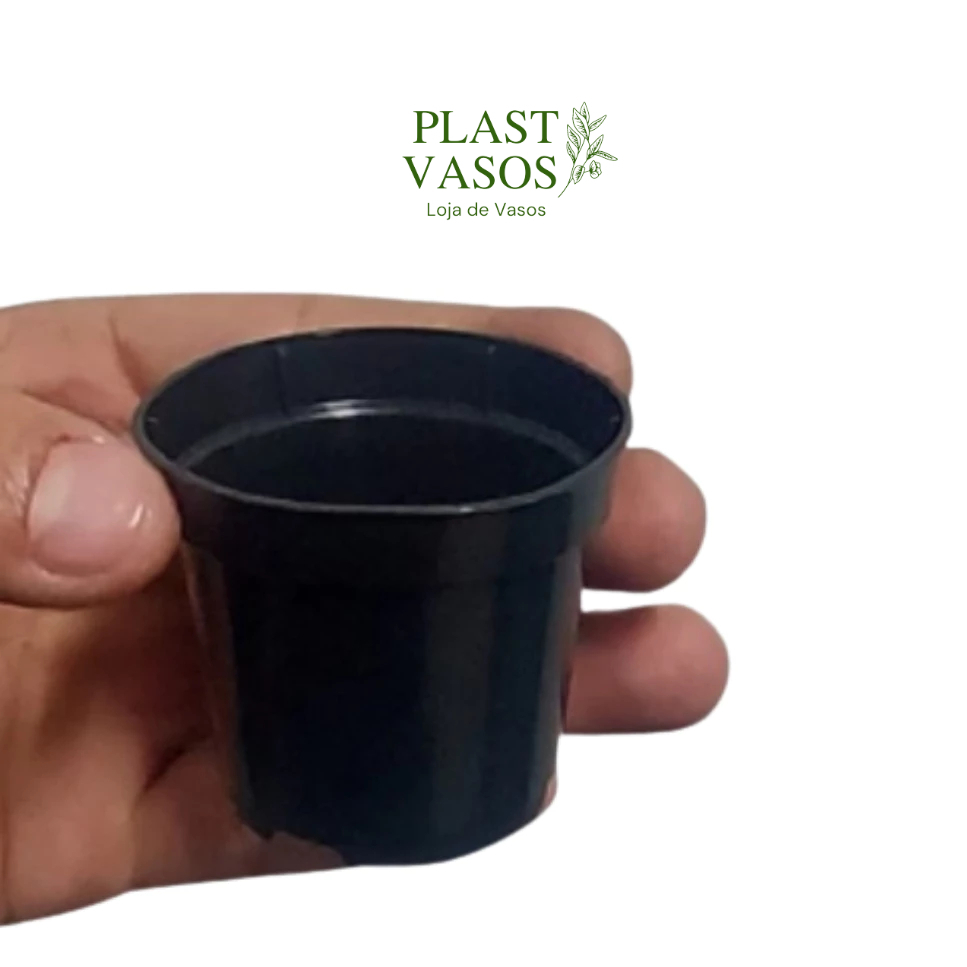 100 Vasos pote 6 Rosa Do Deserto Suculentas e cactos vasinhos na cor:
