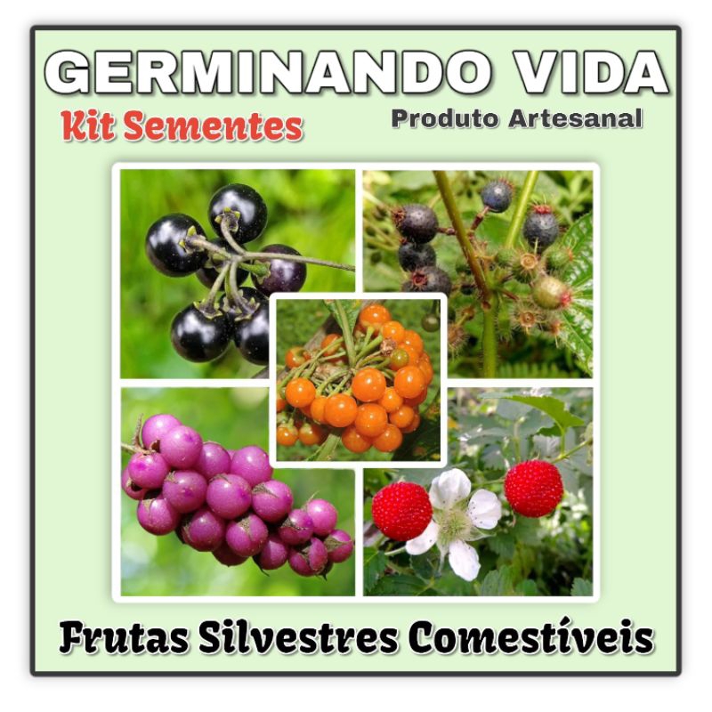 Kit Sementes 5 Espécies Frutas Silvestres Para Plantio - Morango + Fruta Sabiá + Pixirica + Maria Preta + Milho De Grilo