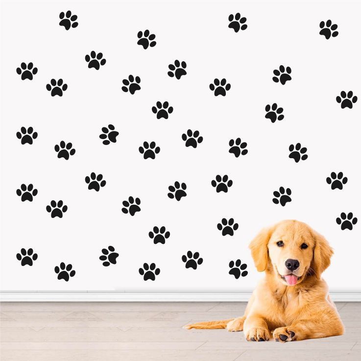 110 Adesivo de Parede Patas Cachorro, Pegadas Pet, Adesivos Cachorro, Adesivo Pet Shop, Decoração, Patinhas