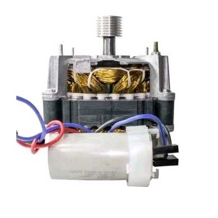 motor para tanquinho sugar ou Colormaq suporta até 20 kg 127 v em Oferta na Shopee