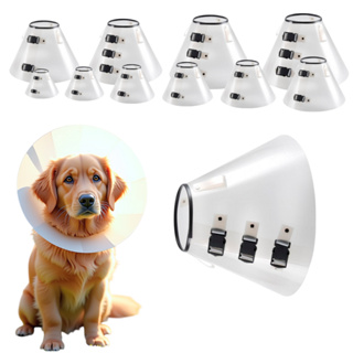 Colar elizabetano cone cães cirúrgico do 1 ao 10 conjunto completo em Oferta na Shopee