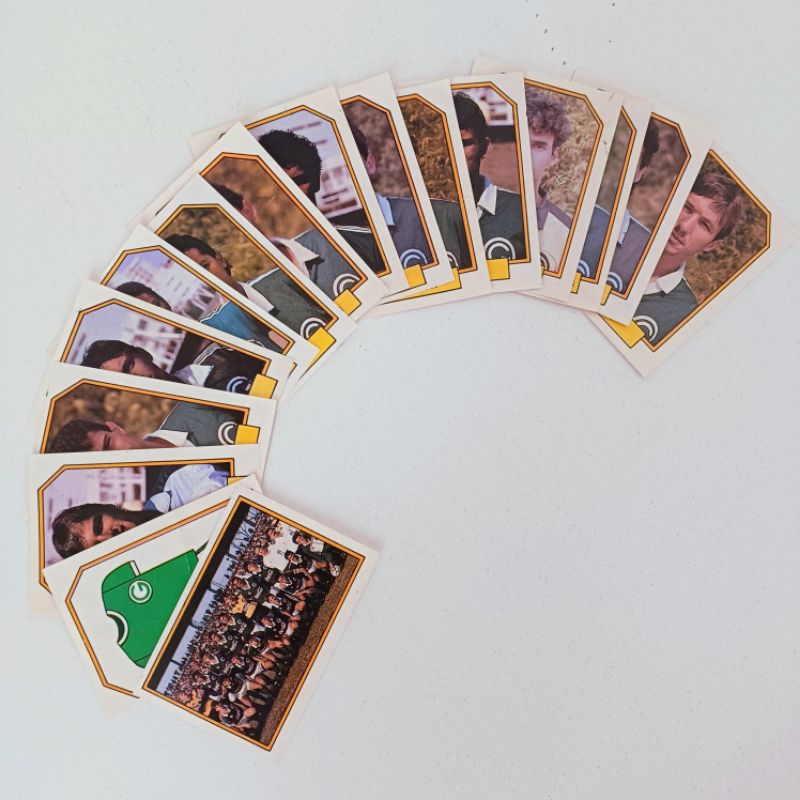 Lote 16 figurinhas Goiás Campeonato Brasileiro 1990 raridade Editora Abril-Panini futebol anos 90