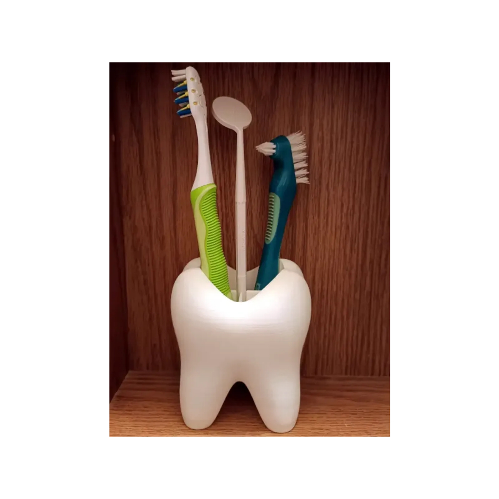 Porta Escova De Dente Formato Dente Com Divisórias | Dentista Laboratório Educação Higiene Bucal
