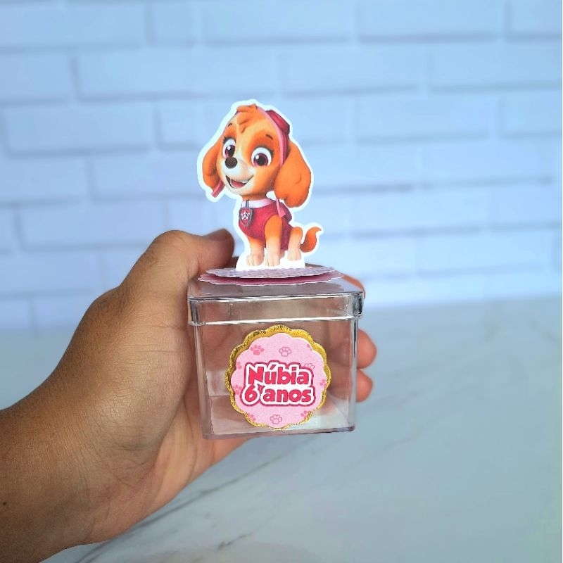 Apliques em pé 3D + nome e idade Skay Patrulha Canina Lembrancinhas Festa infantil Aniversário Personalizados