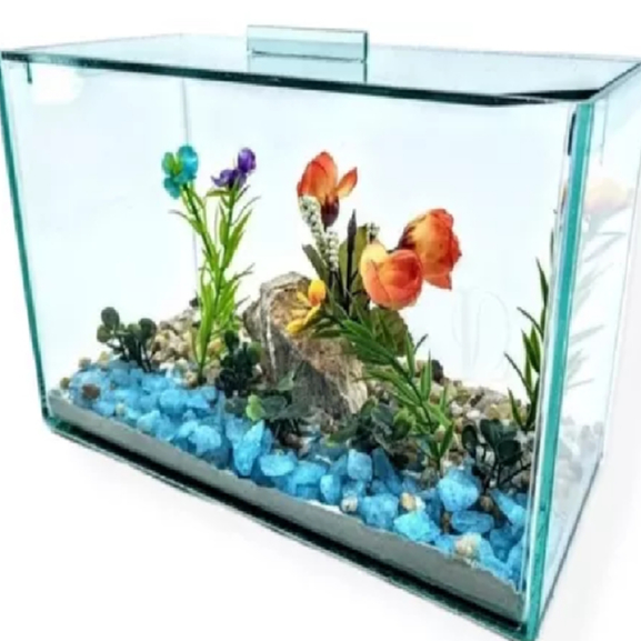 Aquário Bob Retangular beteira decorativo 25x12x15cm para Peixes betas ornamental arranjos presentes vidro 3,8 litros