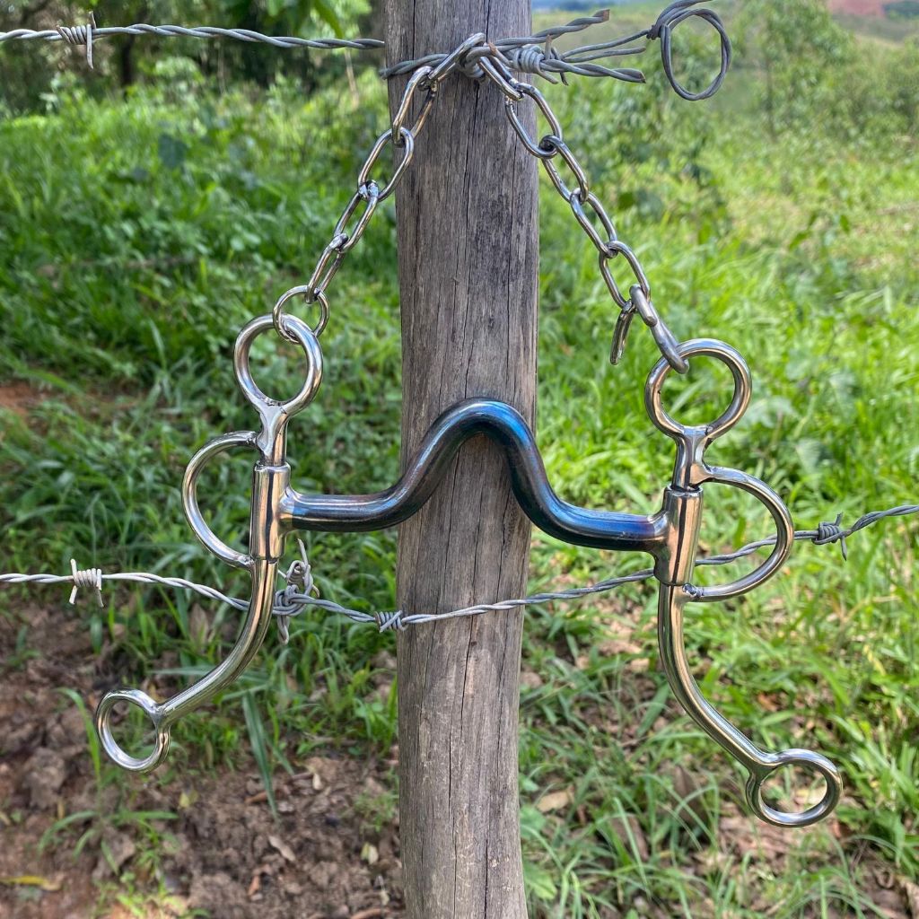 Bucal para Cavalo: Onde Comprar | BuscaProdutos