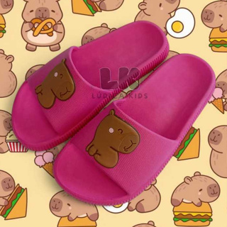 CHINELO CAPIVARA CAPIVARA SLIDE UNISSEX INFANTIL JUVENIL ADULTO CONFORTAVEL MODA em Oferta na Shopee