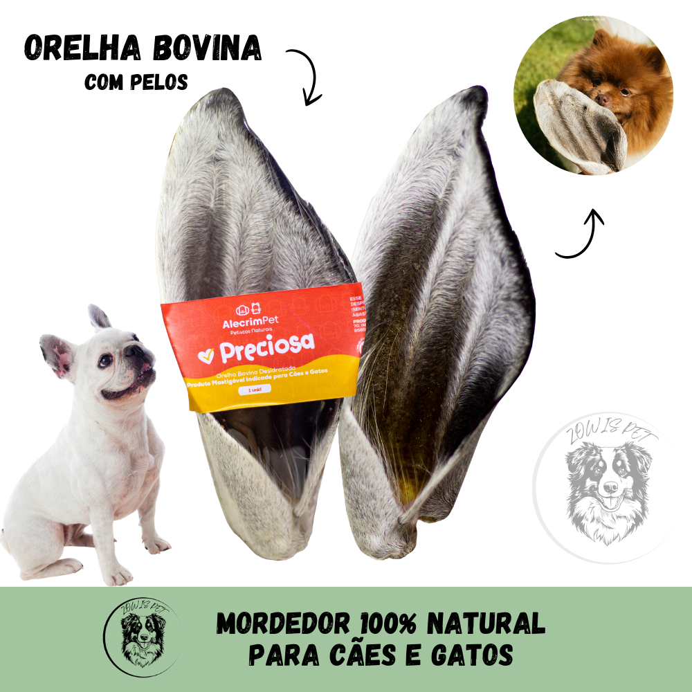 Orelha Bovina Desidratada Preciosa Mordedor 100% Natural Para Cães 1 e 2 Unidade AlecrimPet em Oferta na Shopee