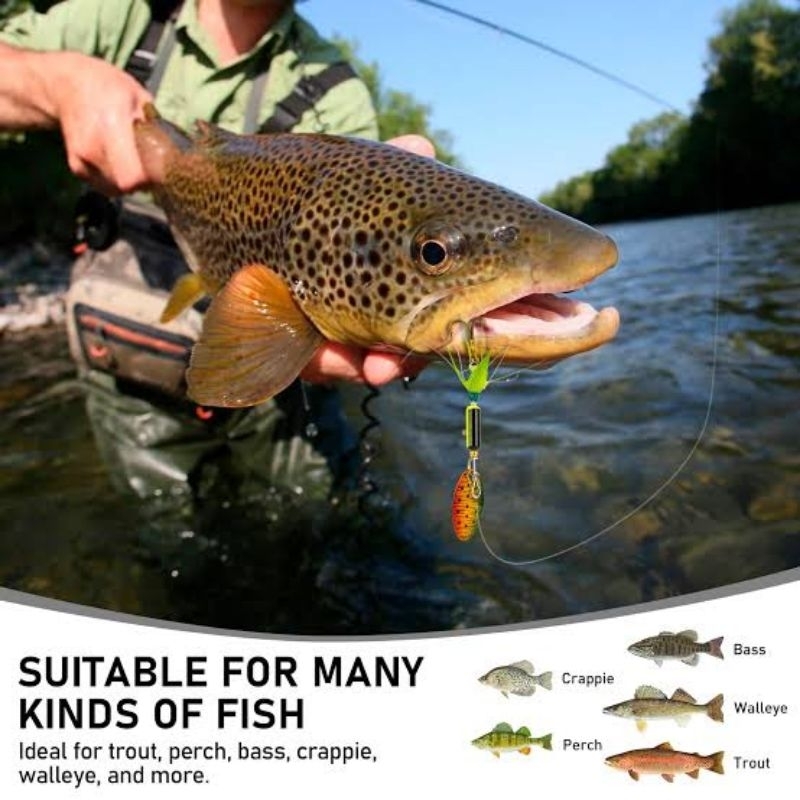 ISCA ARTIFICIAL Spinner  1 isca MARCA BPC + 4 BRINDES PROFISSIONAL ROBALO TUCÚNARE TRAIRA DOURADO pr ÁGUA DOCE E SALGADA