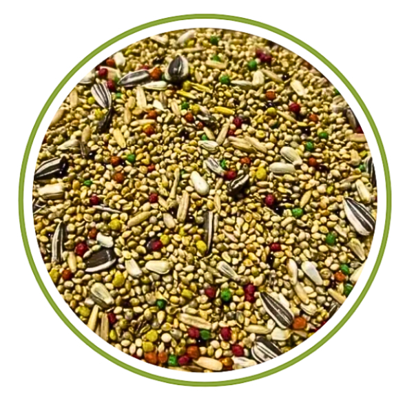 Mistura para Calopsita Periquito Agapornis Econômica 5KG - Top Bird - Grãos Selecionados.