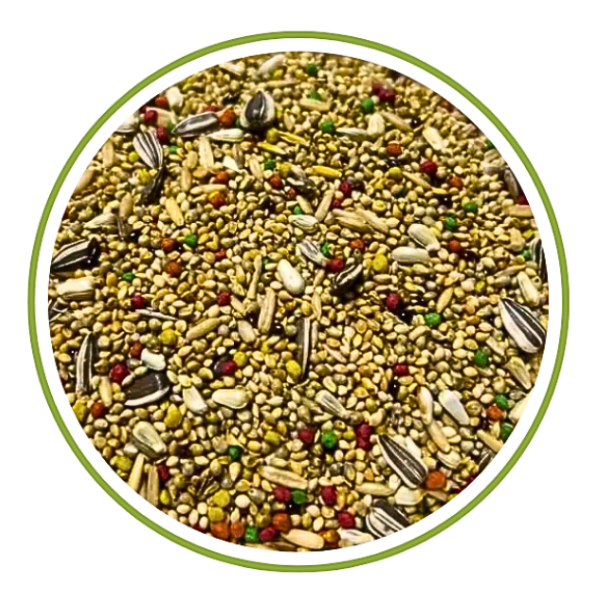 Mistura para Calopsita 5KG - Econômica - Agapornis - Top Bird
