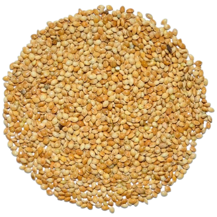 Painço Comum 5kg - para pássaros - Painço nacional amarelo - Selecionado e Super Limpo. em Oferta na Shopee