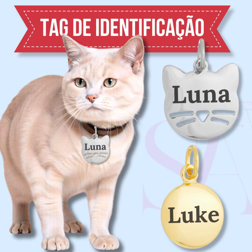 Plaquinha Identificação Pet Dourado ou Prata Vários Modelos Telefone e Nome Gravado